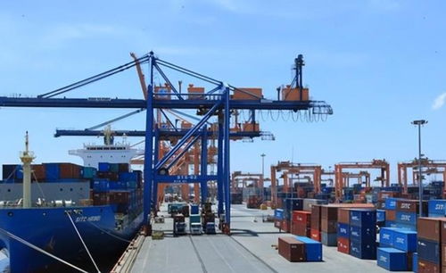 貨幣保衛(wèi)戰(zhàn)輸了 外匯儲(chǔ)備見底與巨額債務(wù)下的經(jīng)濟(jì)困境